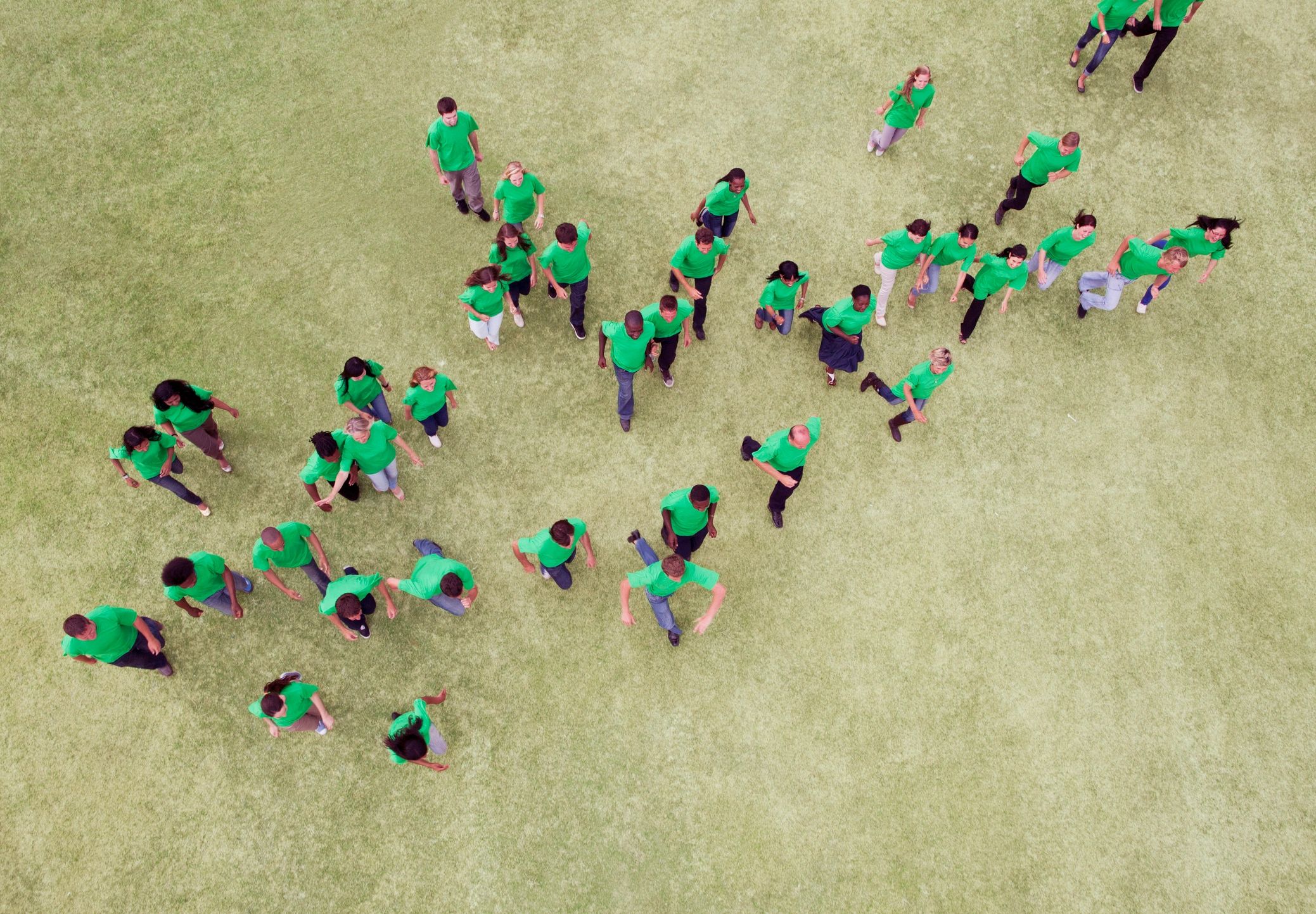 nature conservation volunteers